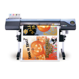 dpi dg printing